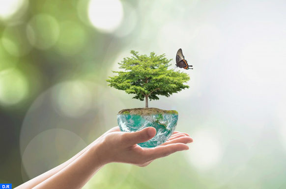 Article : RDC : la technologie pour aider &agrave; la protection de l&rsquo;environnement